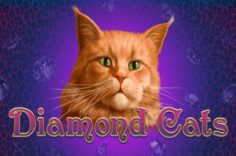 Играть в Diamond Cats