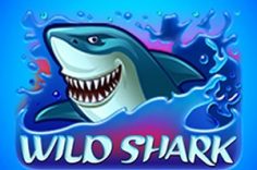 Играть в Wild Shark