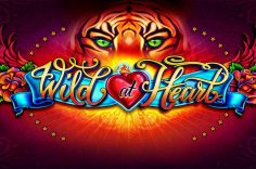 Играть в Wild at Heart