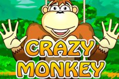 Играть в Crazy Monkey