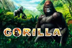 Играть в Gorilla