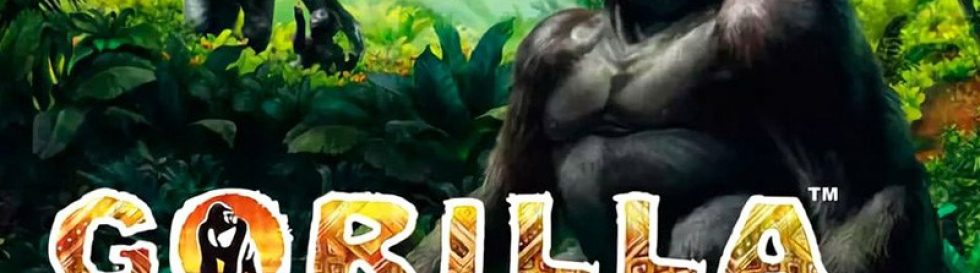 Gorilla