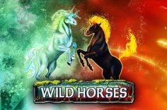 Играть в Wild Horses